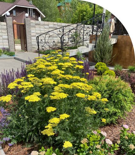 Благоустройство и Озеленение